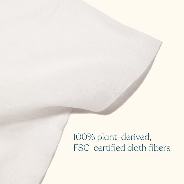 𝔹𝕒𝕓𝕪 𝕎𝕚𝕡𝕖𝕤