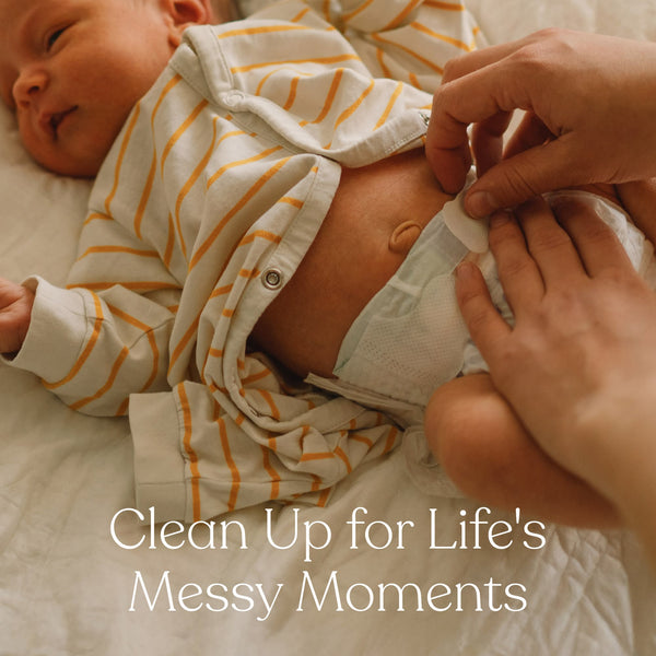 𝔹𝕒𝕓𝕪 𝕎𝕚𝕡𝕖𝕤